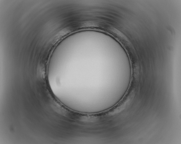 X0000113950929200910091605