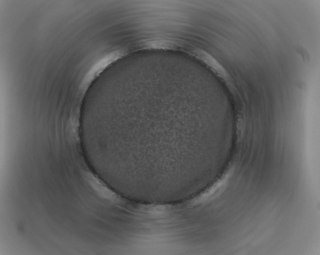 X0000113950930200910091606