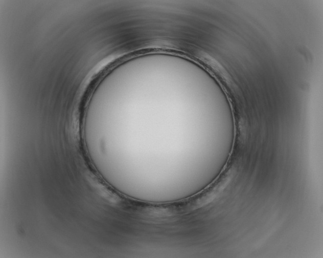 X0000113950931200910091606