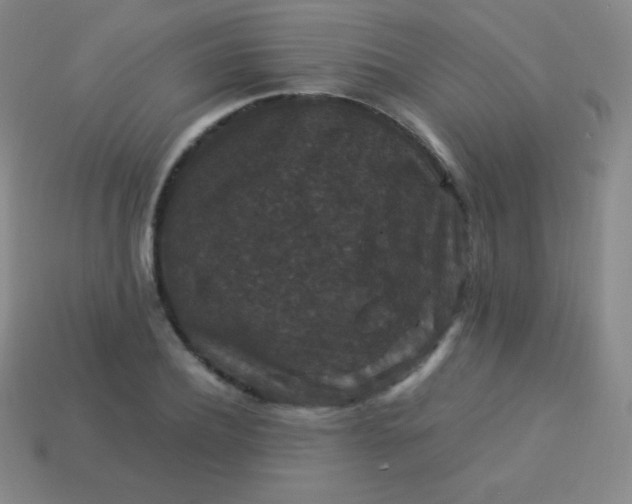 X0000113950932200910091606
