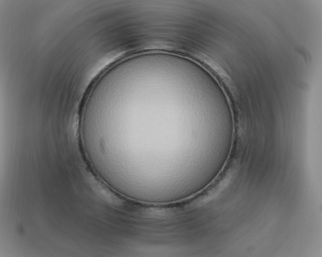 X0000113950933200910091606