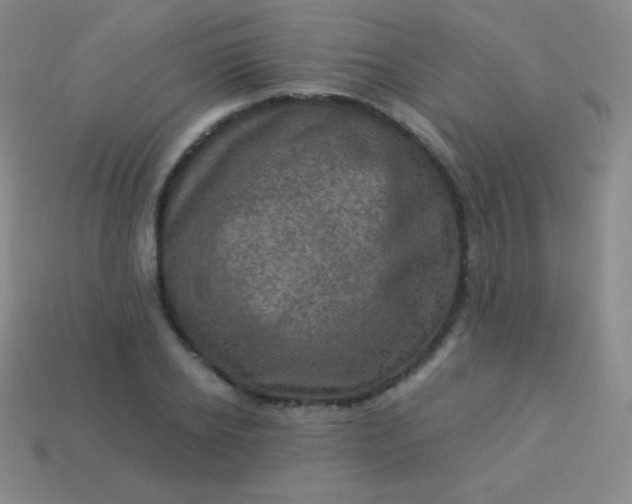 X0000113950934200910091606