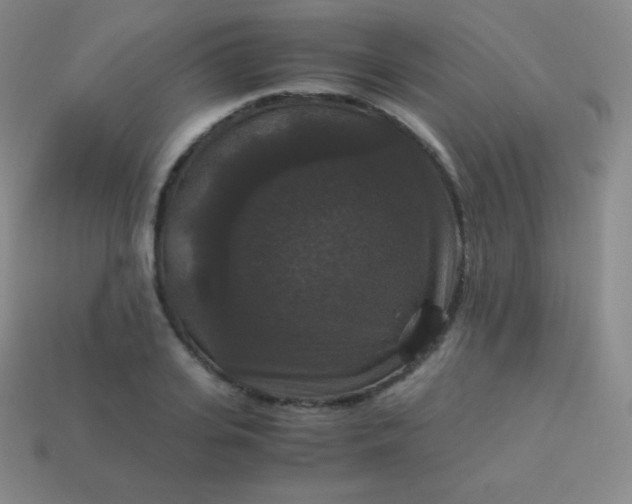 X0000113950935200910091606