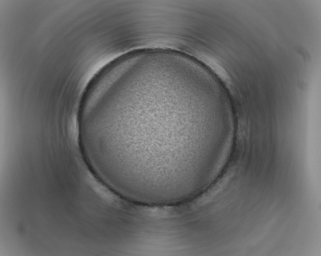 X0000113950936200910091606