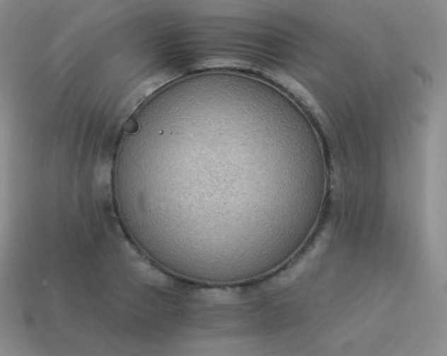 X0000113950937200910091606