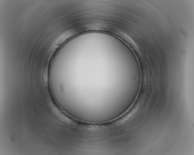X0000113950938200910091606