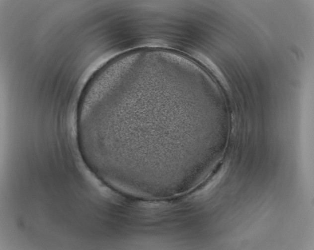 X0000113950939200910091606