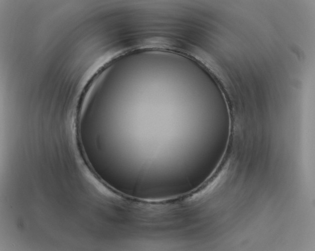 X0000113950941200910091606