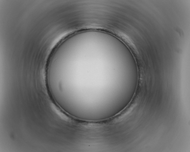 X0000113950942200910091606