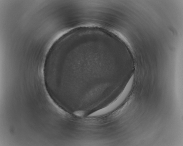 X0000113950943200910091606