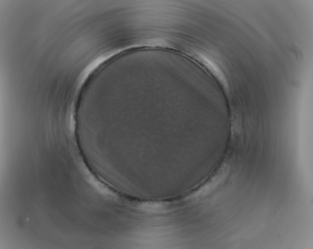 X0000113950944200910091606
