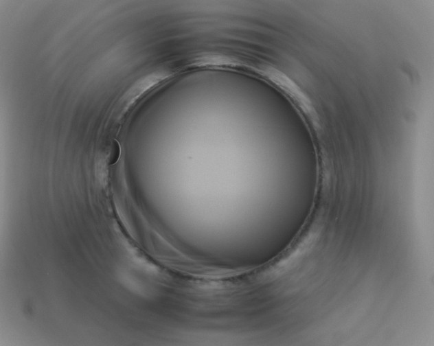 X0000113950945200910091606