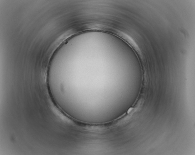 X0000113950946200910091606