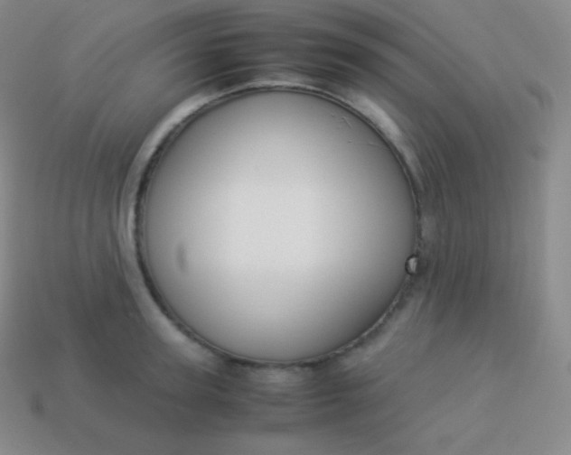 X0000113950947200910091606
