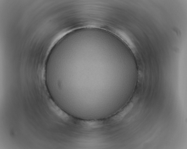 X0000113950948200910091606