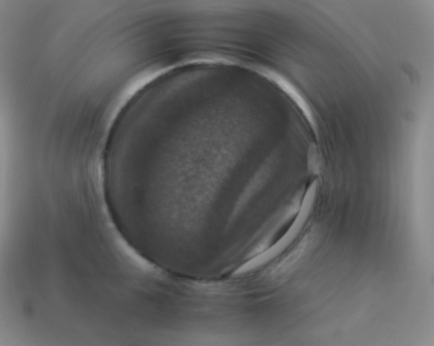 X0000113950951200910091606