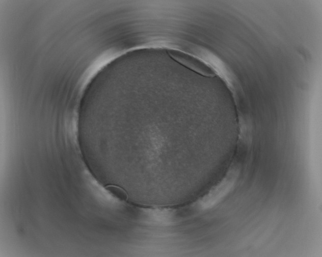 X0000113950952200910091606