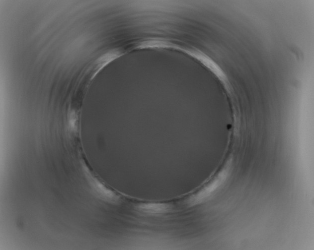 X0000113950953200910091606
