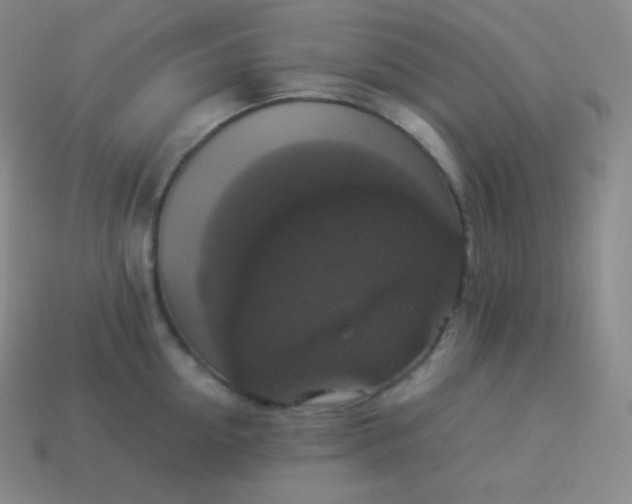 X0000113950954200910091606