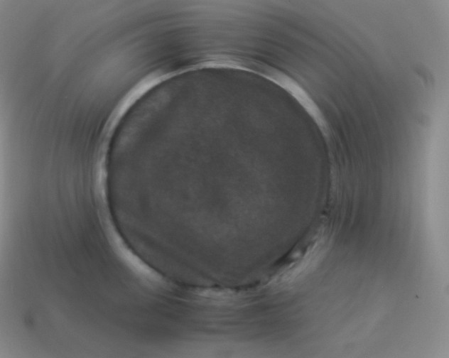 X0000113950955200910091606