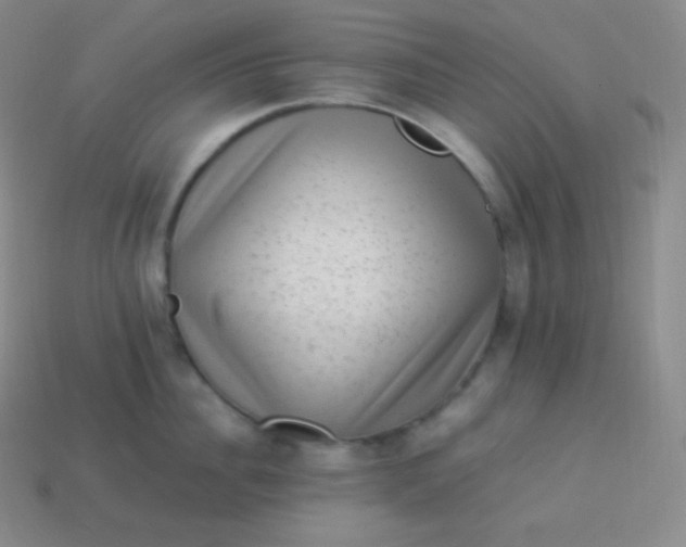 X0000113950956200910091606