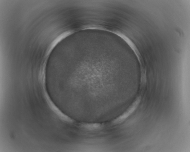 X0000113950957200910091606