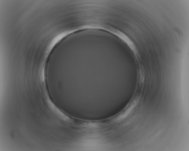 X0000113950958200910091606