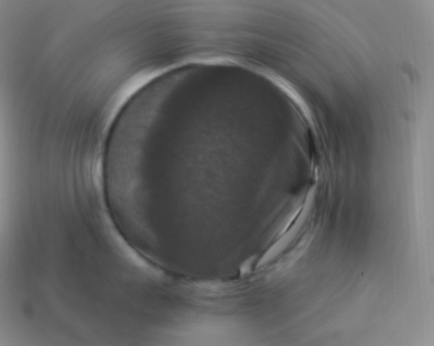 X0000113950959200910091606