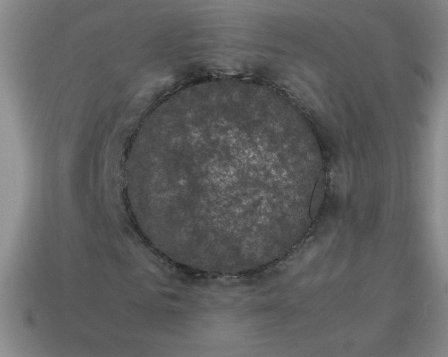 X0000113950961200910091605