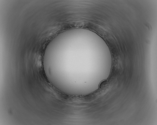 X0000113950962200910091605