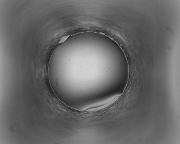X0000113950965200910091605
