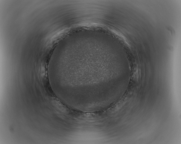 X0000113950966200910091605