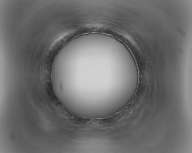 X0000113950967200910091605