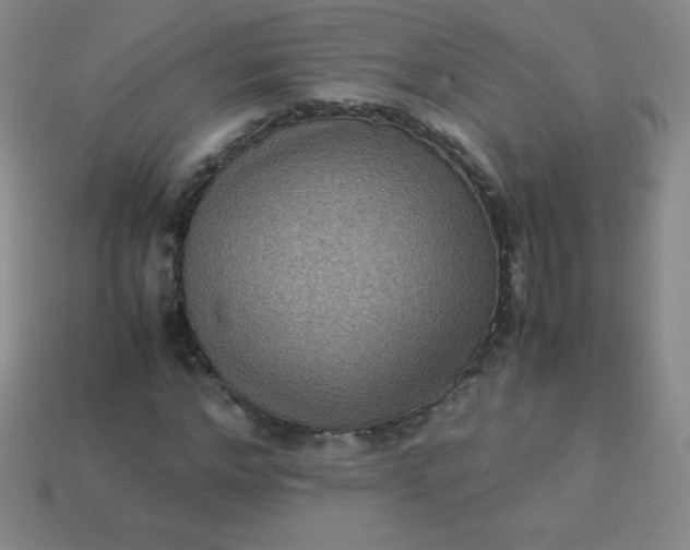 X0000113950968200910091605