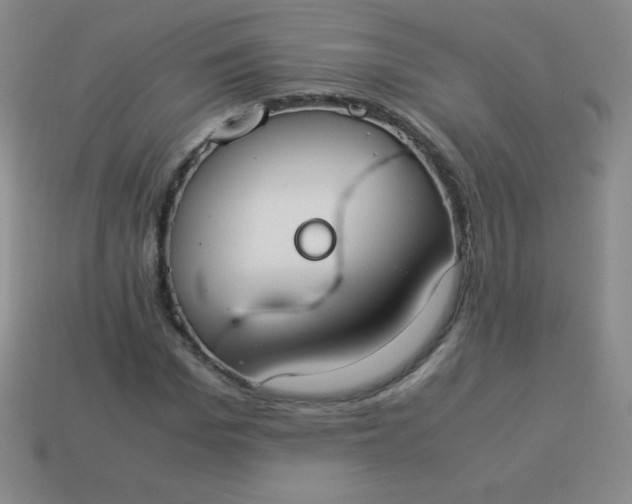 X0000113950969200910091605