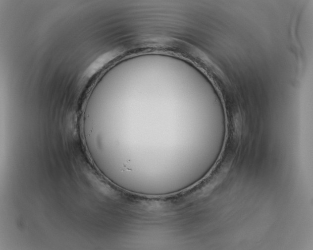 X0000113950970200910091605