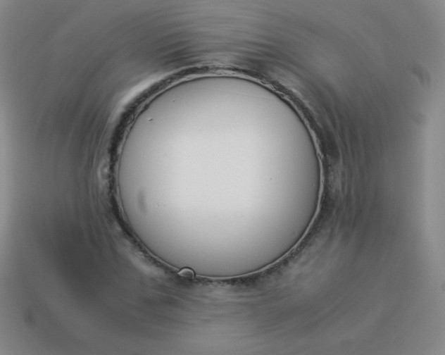 X0000113950971200910091605