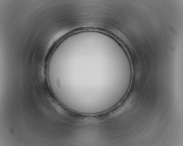 X0000113950974200910091605
