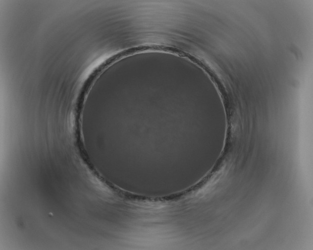 X0000113950975200910091605