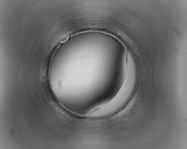 X0000113950977200910091605
