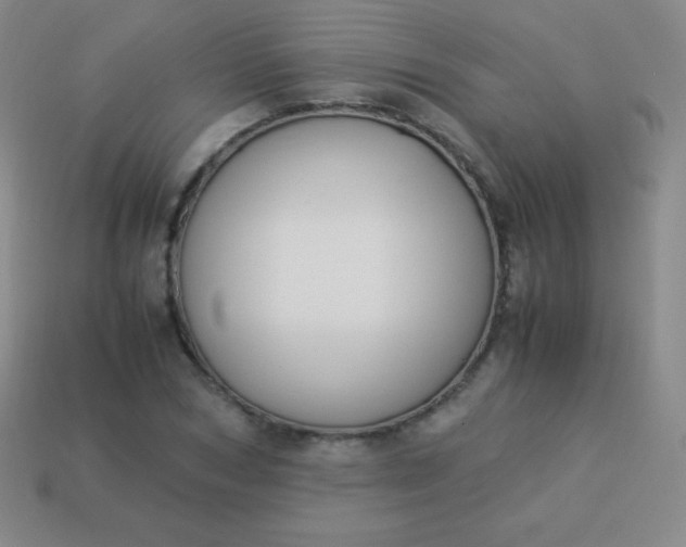 X0000113950978200910091605
