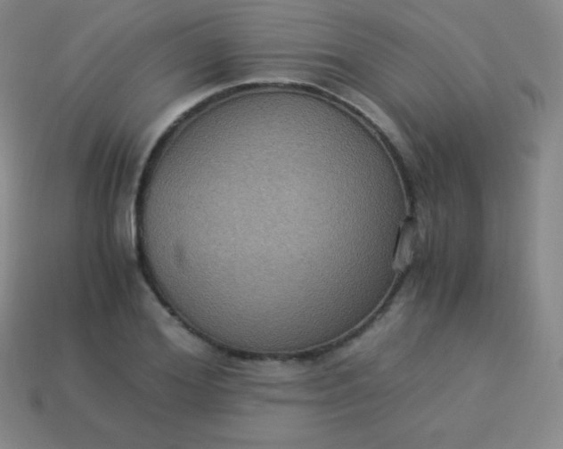 X0000113950980200910091605