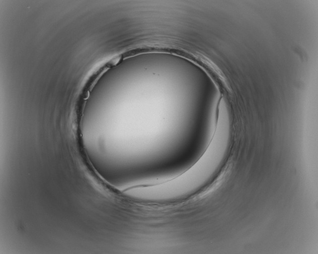 X0000113950981200910091605