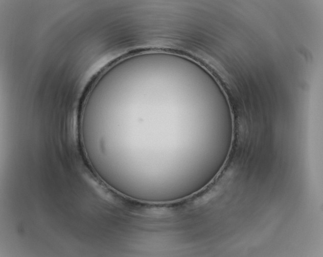 X0000113950982200910091605