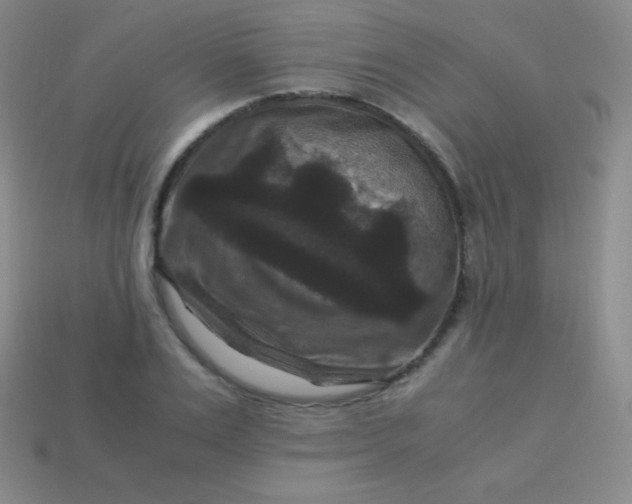 X0000113950983200910091605