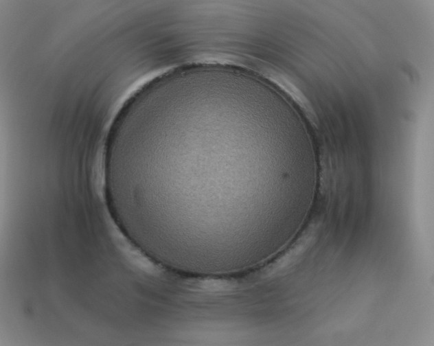 X0000113950984200910091605