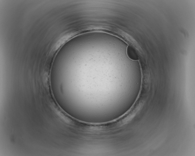 X0000113950985200910091605