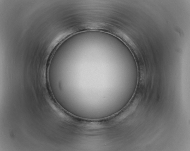 X0000113950986200910091605