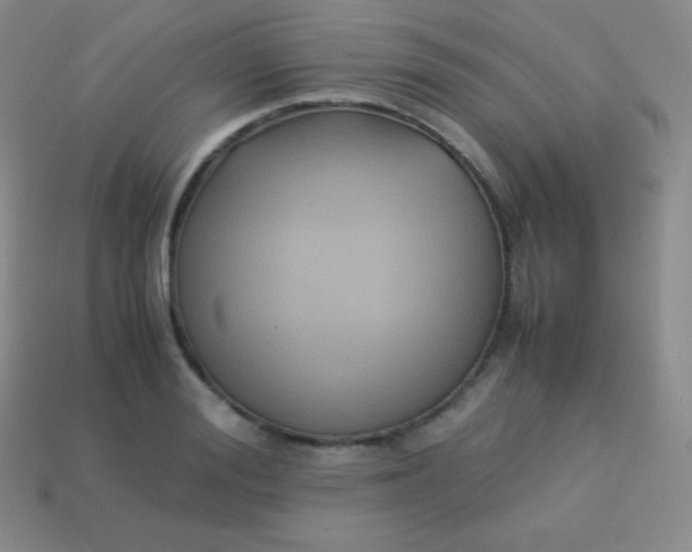 X0000113950988200910091605