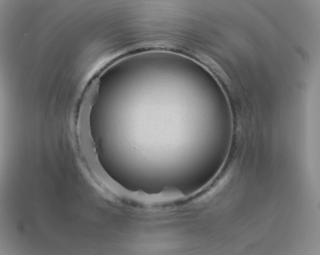 X0000113950989200910091605